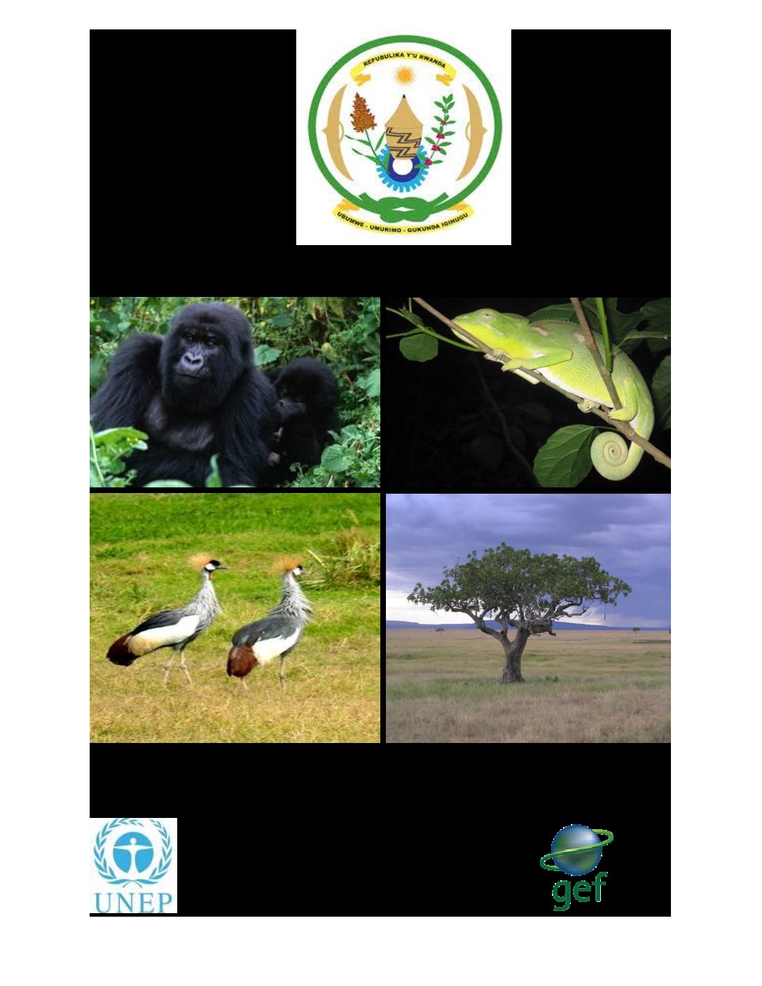 No Image Available